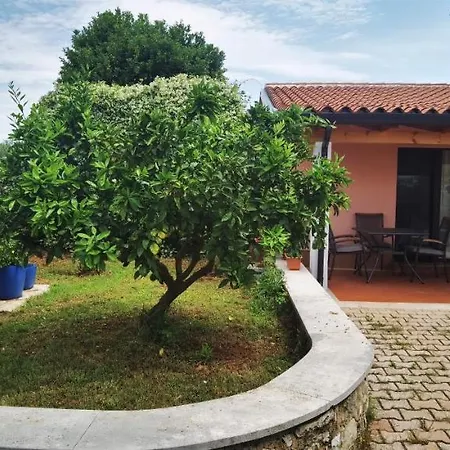 Nora * Novigrad (Istria)