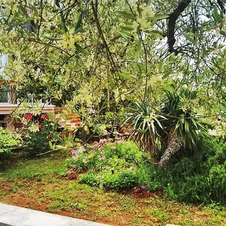 Nora Σπίτι διακοπών Novigrad Istria