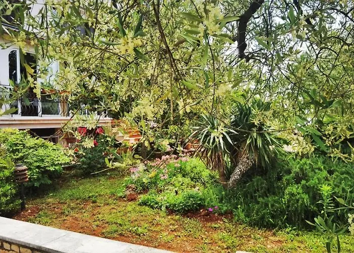 Nora 펜션 Novigrad Istria